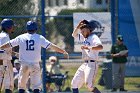 Baseball vs Babson  Wheaton College Baseball vs Babson during Semi final game of the NEWMAC Championship hosted by Wheaton. - (Photo by Keith Nordstrom) : Wheaton, baseball, NEWMAC